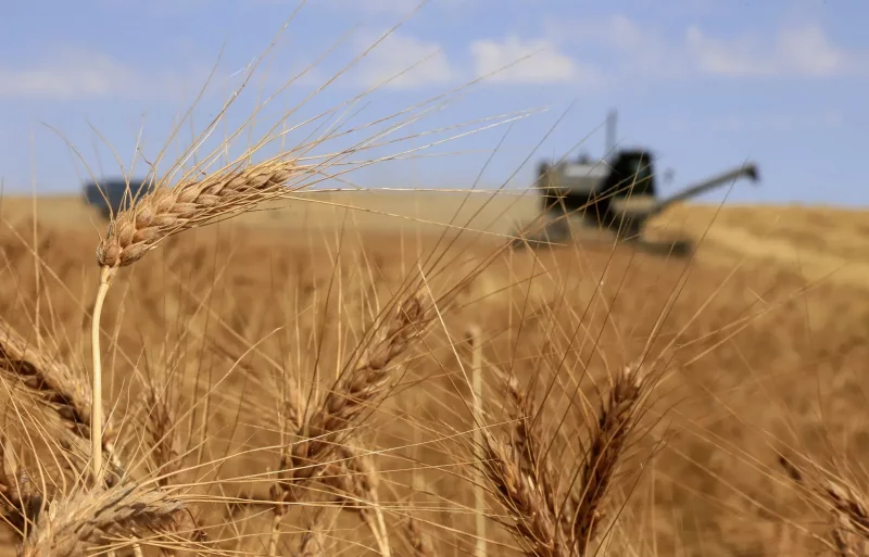 Продкорпорация заключила меморандум о поставке 200 тысяч тонн зерна в КНР - «Экономика»