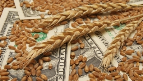 Продкорпорация объявила закупочные цены на зерно - «Финансы»