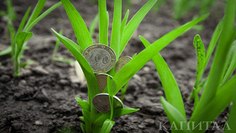 Аграрии просят снизить ставки выкупа земель - «Финансы»
