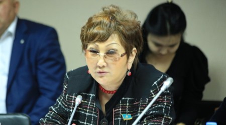 Изменения в Налоговый Кодекс могут погубить малый бизнес в Казахстане, - Соловьева - «Финансы»