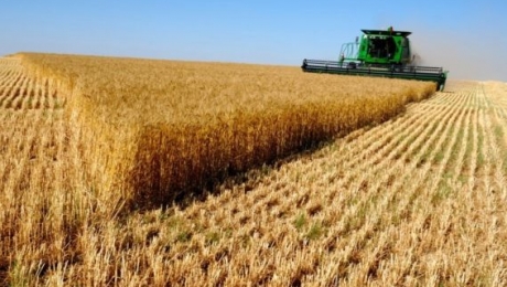 Мамытбеков: Изменение курса тенге положительно повлияло на уборку урожая - «Финансы»
