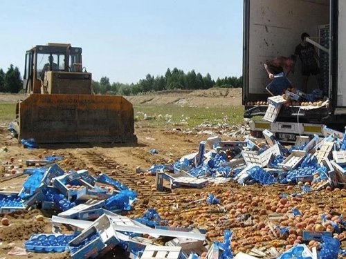 Россия уничтожает по 150 тонн санкционных продуктов в день - «Финансы»