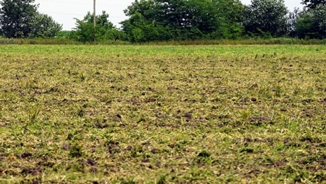 В Костанайской области более 220 тысяч га неиспользуемых с/х земель - «Финансы»