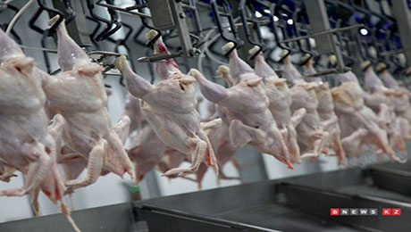Значительного роста цен на мясо в Казахстане не будет - эксперт - «Финансы»