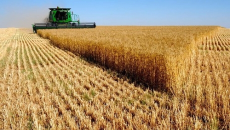 Объем валовой продукции сельского хозяйства РК в 2015 году достиг 2,7 трлн тенге - «Финансы»