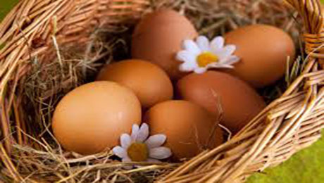 Посредники и супермаркеты завышают стоимость яиц в два раза - «Финансы»