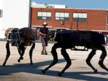 Google выставила на продажу Boston Dynamics - «Новости Банков»