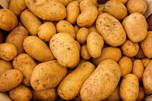 Цена на картофель в РК может подняться до 120-150 тенге - «Финансы»