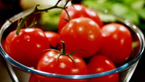 20 тонн ввезенных из Казахстана помидоров уничтожили в России - «Финансы»