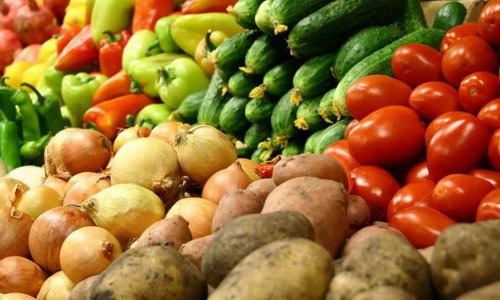 Свыше 16 тонн овощей из Казахстана уничтожили в России - «Финансы»