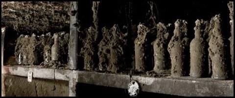 10 самых дорогих бутылок рома в мире: невероятная выпивка (фото) - «Финансы» 10 самых дорогих бутылок рома в мире: невероятная выпивка (фото) - «Финансы»