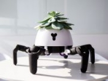 Создали робота, который помогает растениям получать нужное количество солнечного света - «Финансы и Банки»