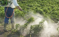 Как Россия лоббирует введение заградительных пошлин на пестициды - «Экономика»