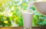 Казахстан повысит пищевую безопасность молока - «Экономика»
