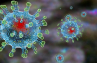 Станет ли китайский коронавирус причиной глобального кризиса? - «Финансы»