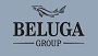 BELUGA GROUP объявляет о завершении процесса приобретения части собственных акций с целью уменьшения уставного капитала - «Финансы»