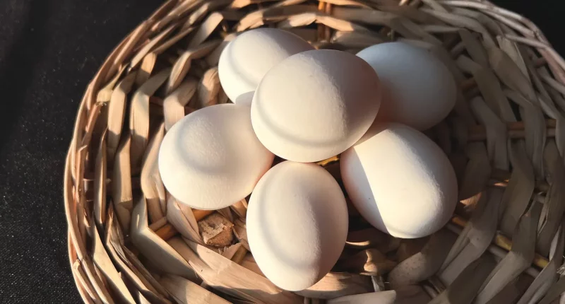 Цены на яйца растут сильнее обычного 17 недель подряд - ПКБ - «Экономика»